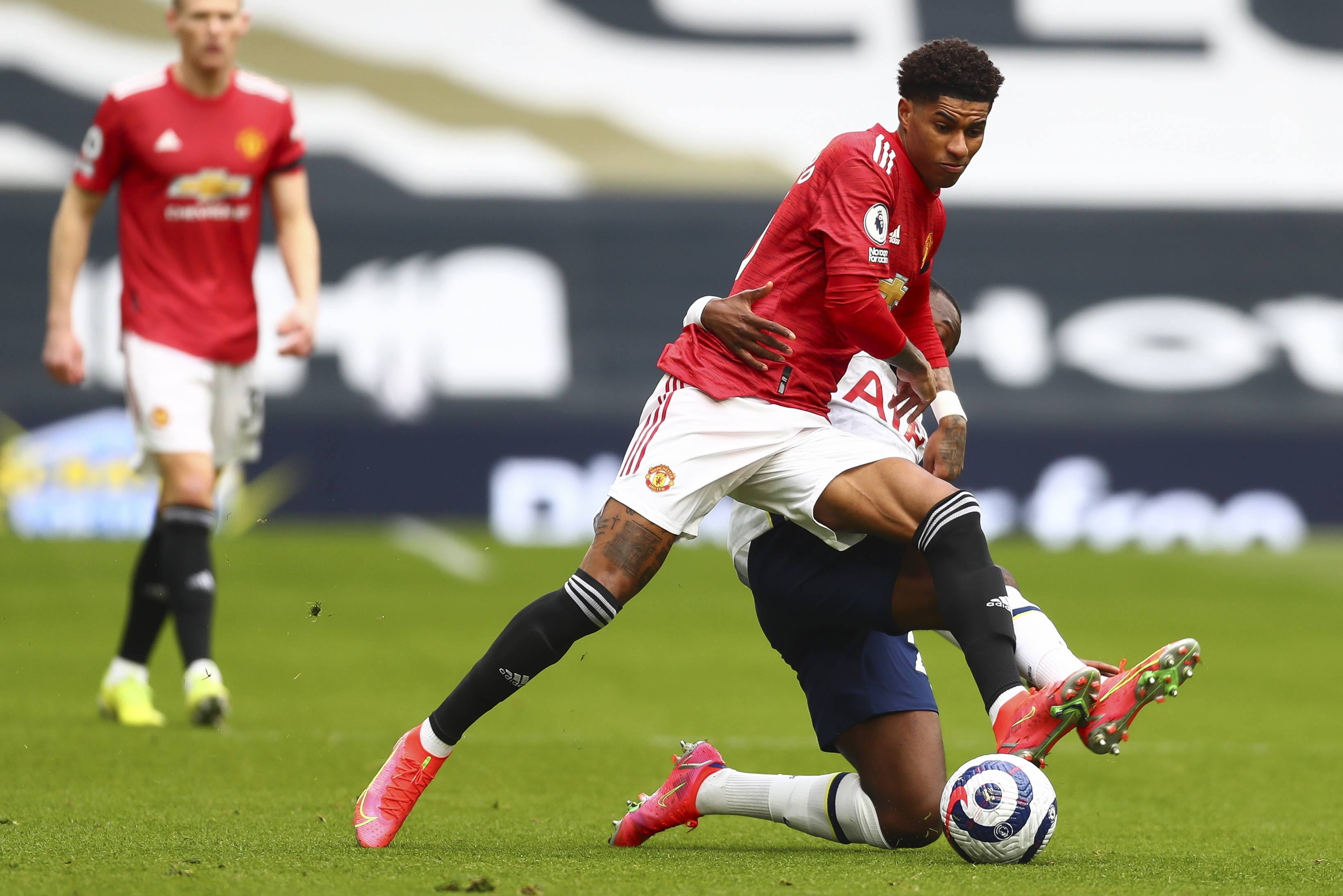 了丰富的进 了丰富的进