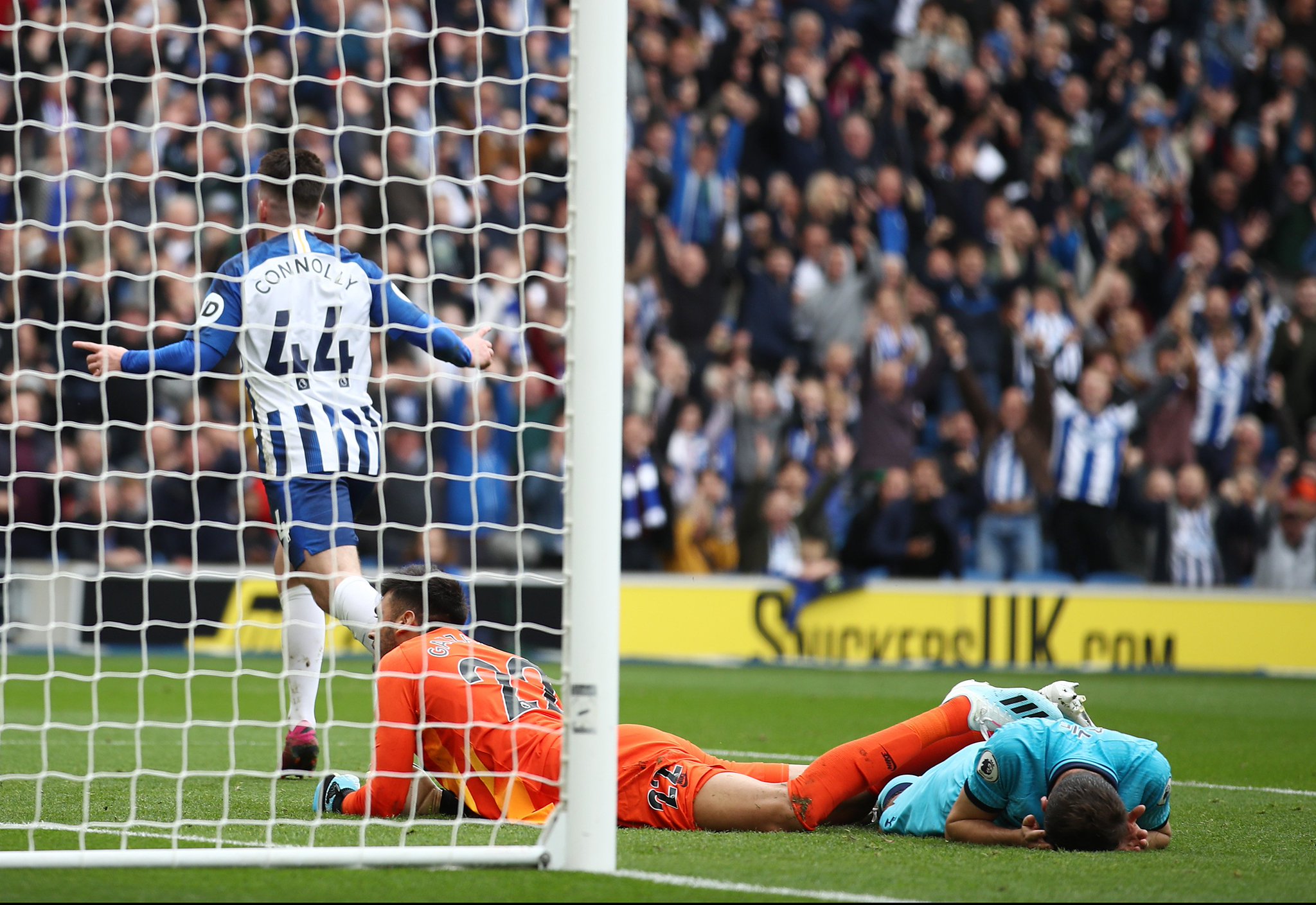 尤其是几位 尤其是几位